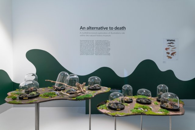 An alternative to Death